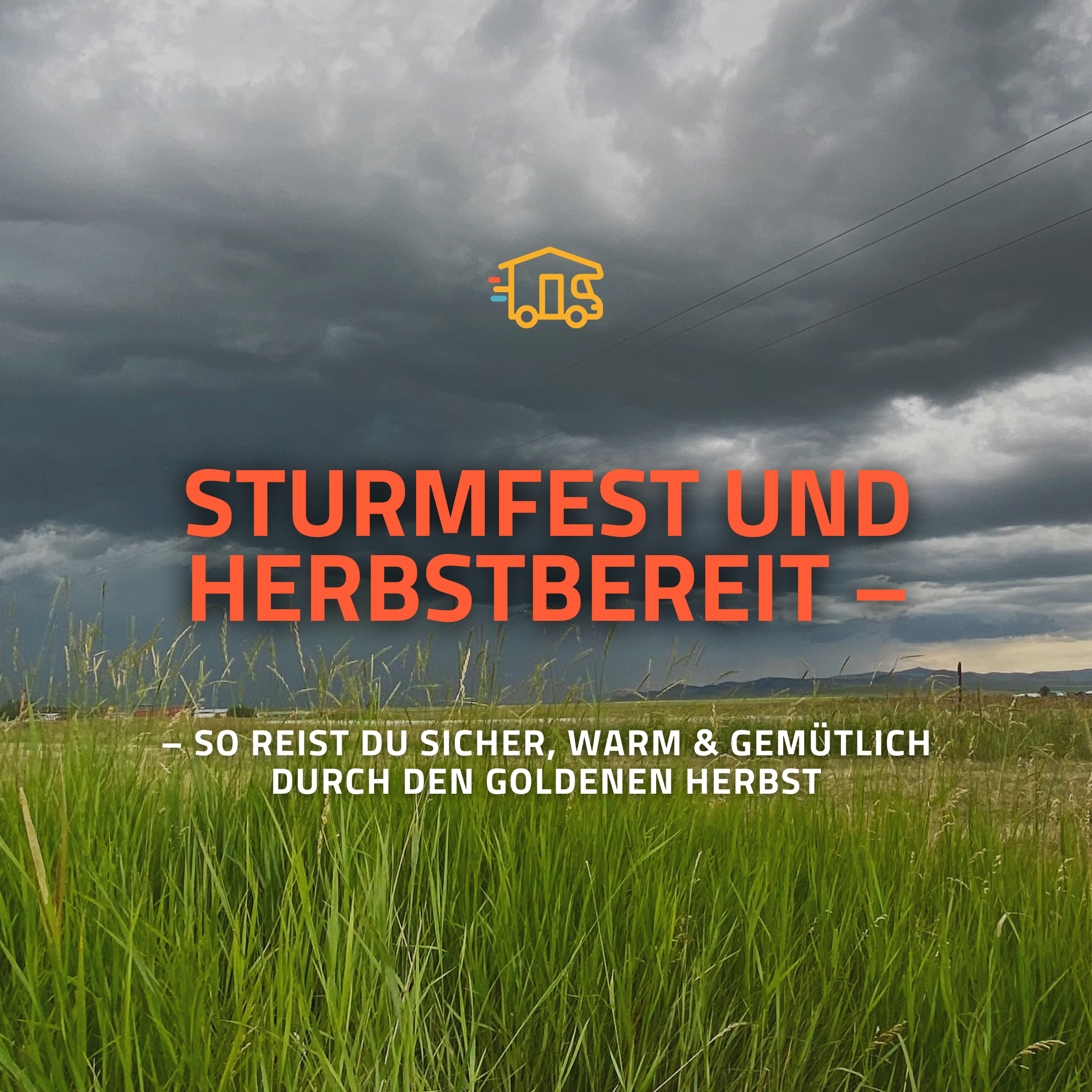 Im Hintergrund ist ein aufziehender Sturm zu sehen. Grünes Feld und grauer Himmel.